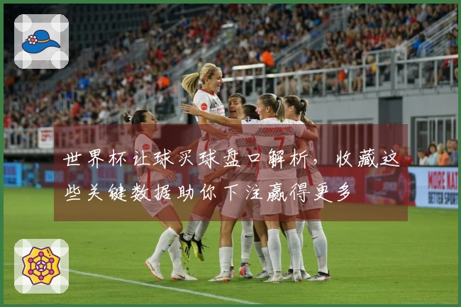 世界杯让球买球盘口解析，收藏这些关键数据助你下注赢得更多