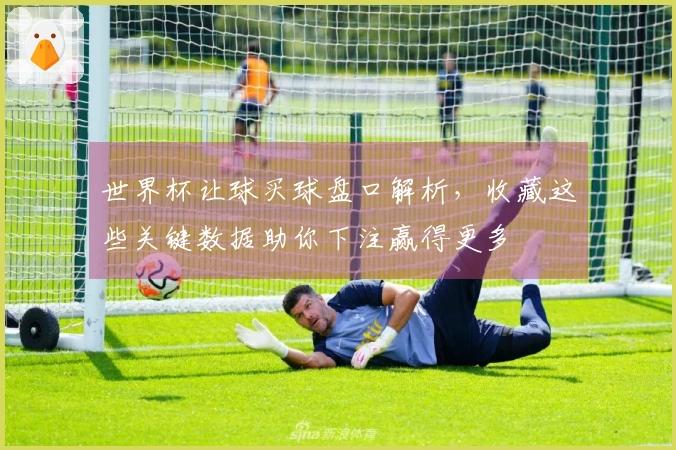 世界杯让球买球盘口解析，收藏这些关键数据助你下注赢得更多