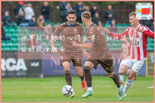 世界杯滚球的心得分享：如何提升你的投注胜率