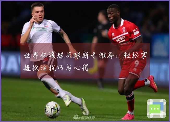世界杯滚球买球新手推荐，轻松掌握投注技巧与心得